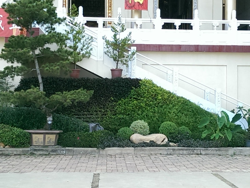 معلقة طويلة-11