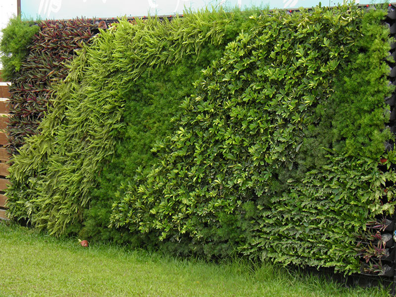 longue suspension-22