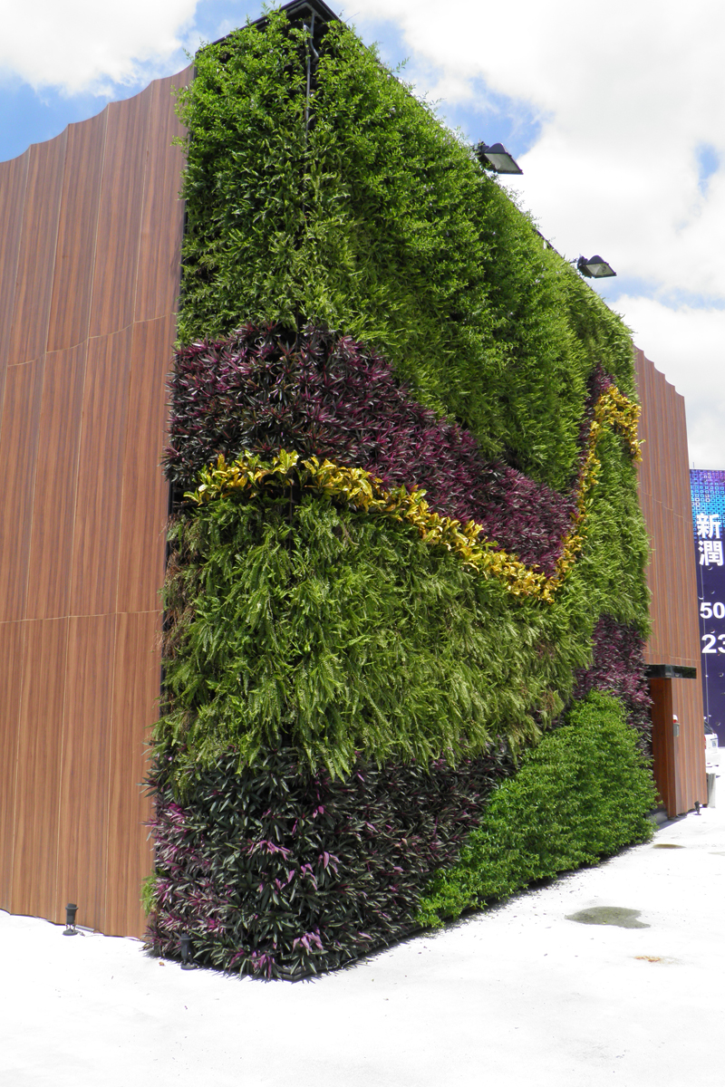 معلقة طويلة-23