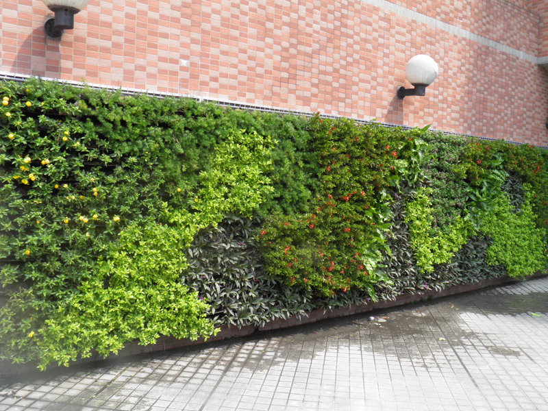 longue suspension-26