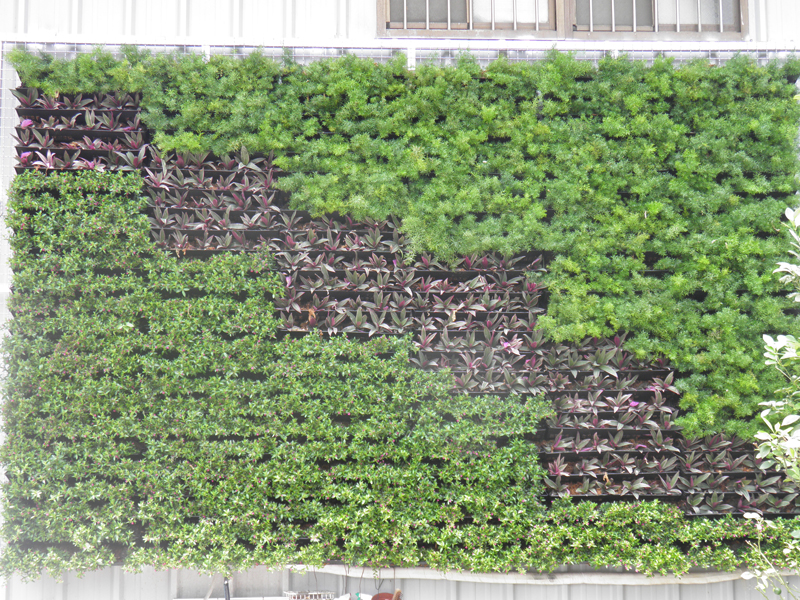 longue suspension-27