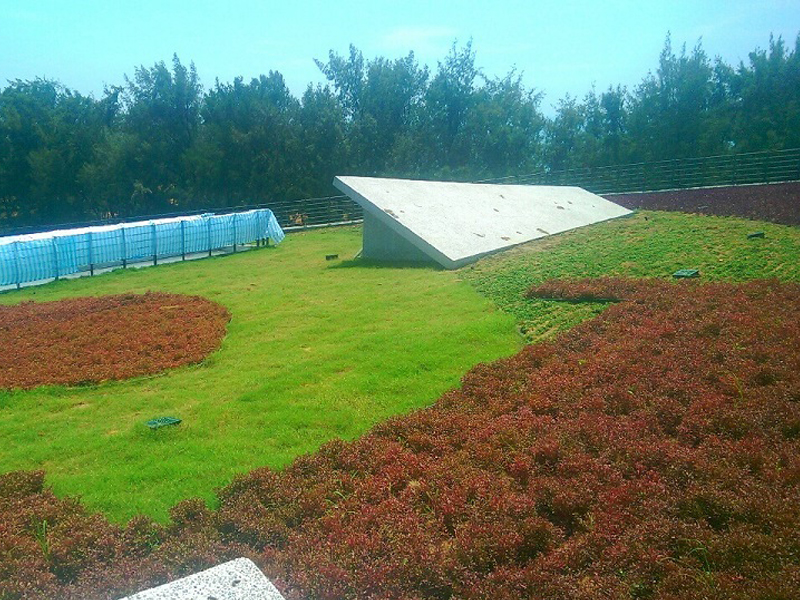 اسطوانة طويلة -11