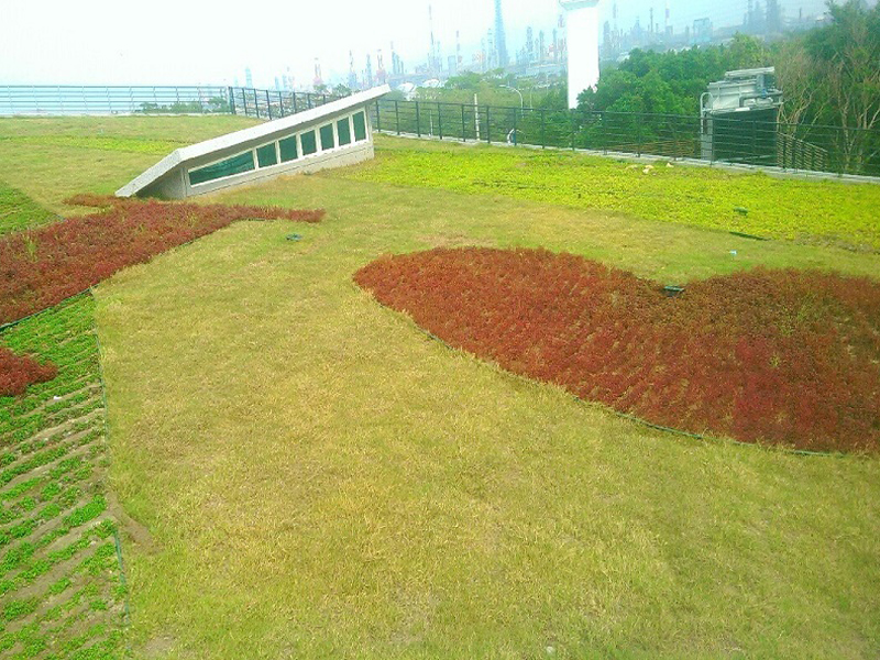 اسطوانة طويلة -11