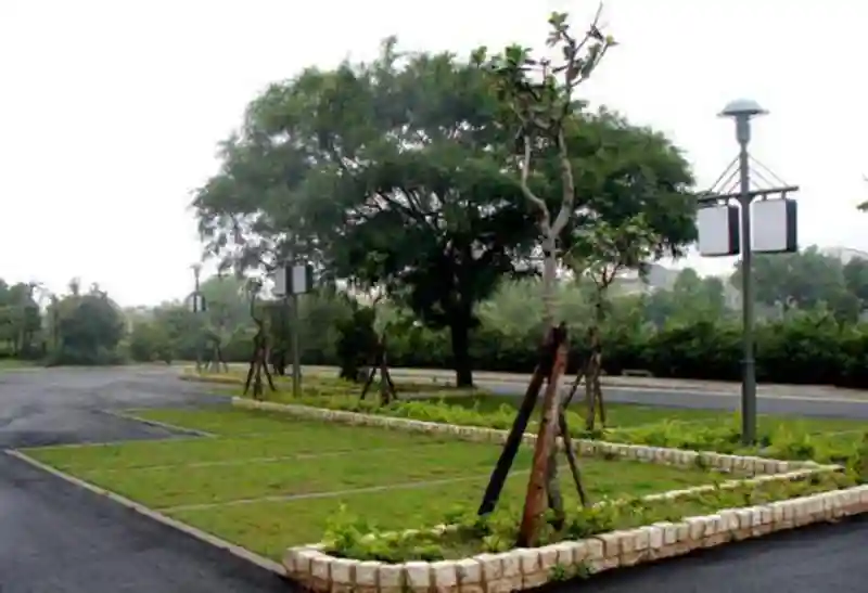 pavimentação permeável de grama e cascalho