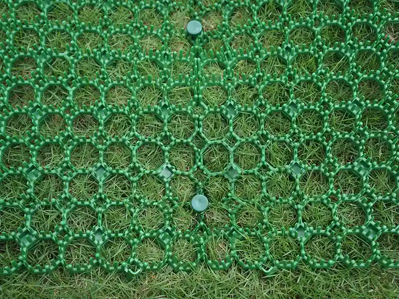 pointes en plastique pour bordure de pelouse