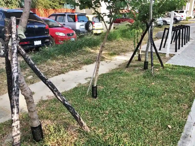 protecteurs de tronc d'arbre en plastique