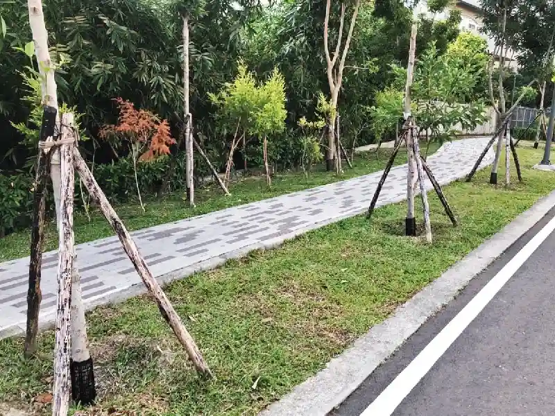 protecteurs de tronc d'arbre en plastique