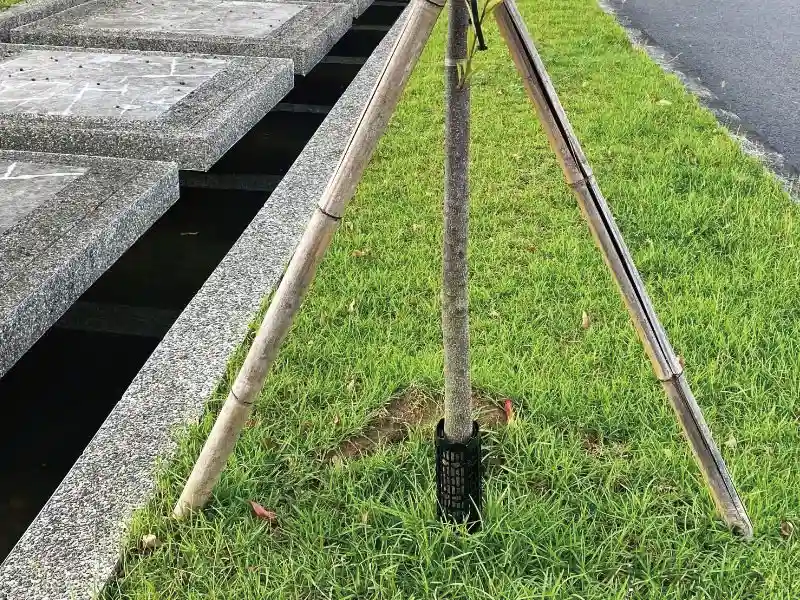 protecteurs de tronc d'arbre en plastique
